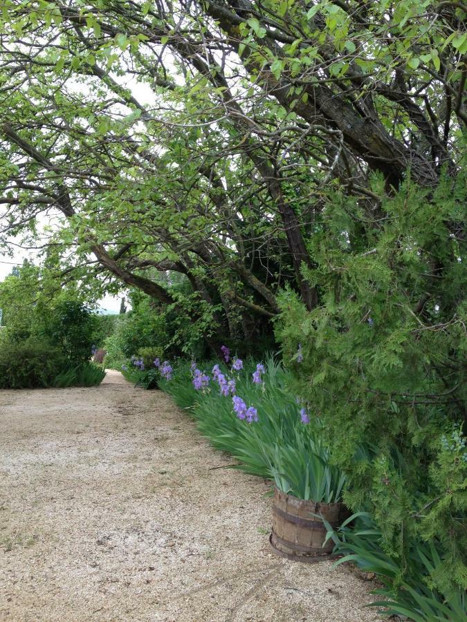 De Julie Le Jardin * Vaison-la-Romaine