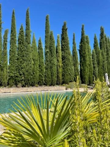 De Julie Le Jardin * Vaison-la-Romaine